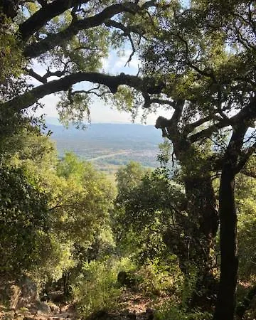 Harbers Zonvakanties Met Airco Lei Suves Sur Argens شاليه *
